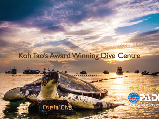 Crystal Dive