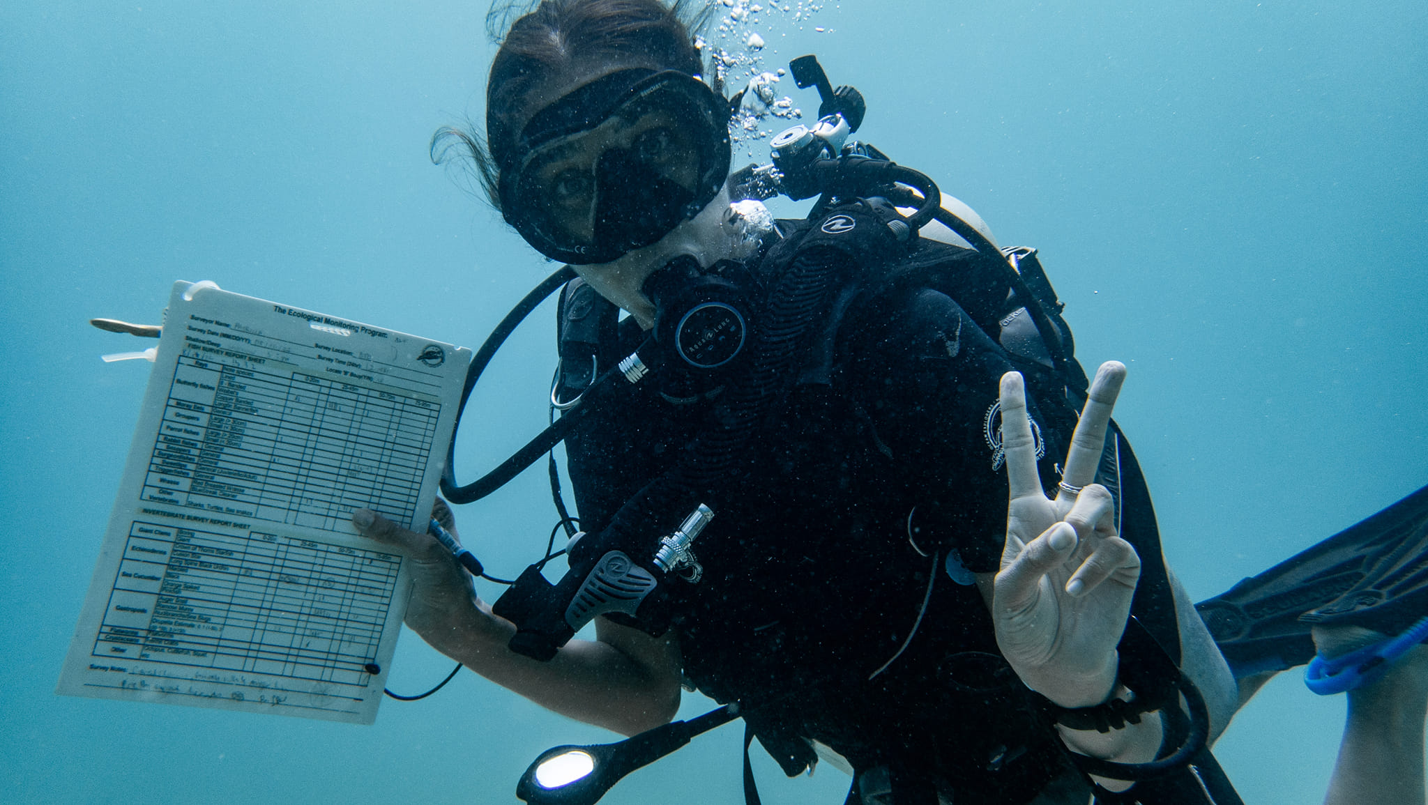 Eco Koh Tao Conservation