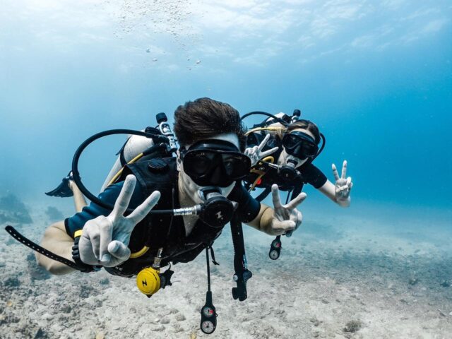Roctopus Dive