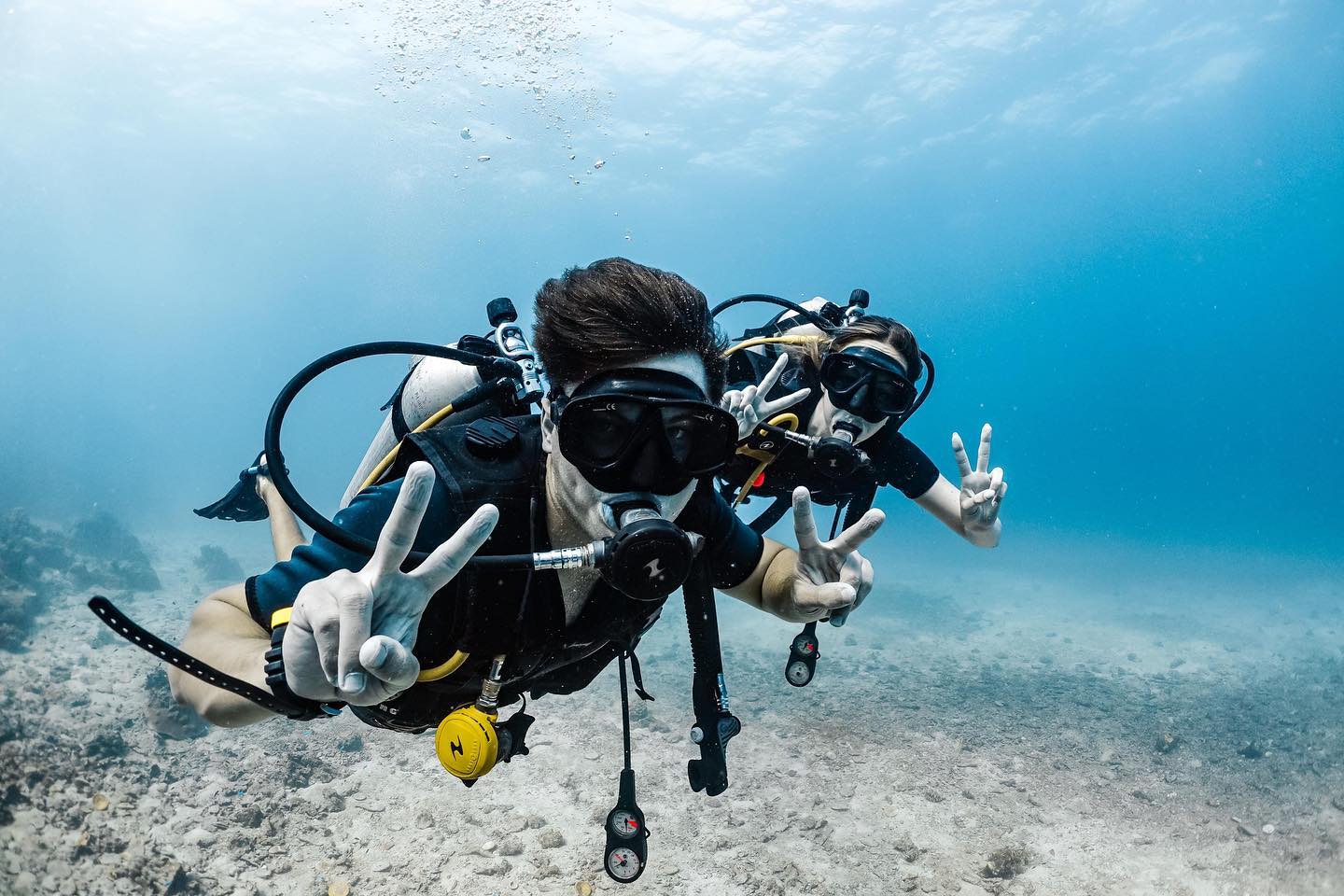 Roctopus Dive Koh Tao