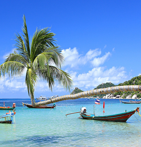 Explore Koh Tao